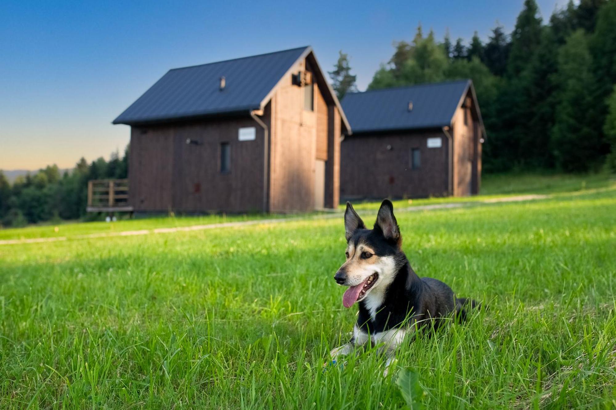 Polana Piorun Domki Wakacyjne W Beskidach Krynica-Zdrój Exteriér fotografie